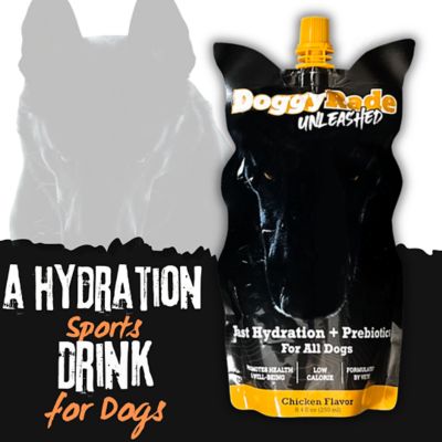 Image showing  Unleashed Hydration + Prebiotic Sport Drink and Chew Bundle, 3 x 8.4 2 x 3.5 oz.