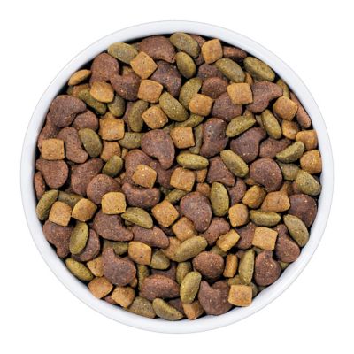 Image showing  Adult High Protein Real Beef Recipe Dry Dog Food