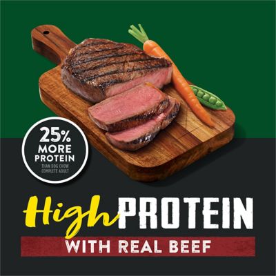 Image showing  Adult High Protein Real Beef Recipe Dry Dog Food