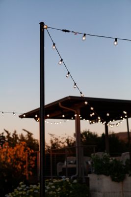 Image showing 5 th Allsop Home & Garden Bistro Outdoor and Indoor 25 ft. Plug-In LED Globe Bulb 25 String Lights Shatter Resistant