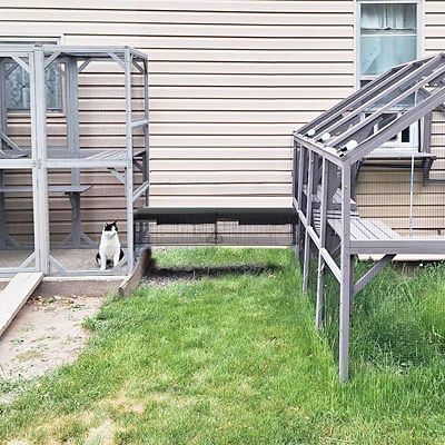 Image showing 5 th Aivituvin Durable Cat Tunnel with Waterproof Fabric, Versatile, Rust Proof, and Compatible with Cat House