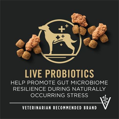 Image showing 5 th Purina Pro Plan Adult 7 Plus Complete Essentials Shredded Blend Beef and Rice Formula High Protein Dog Food for Senior Dogs