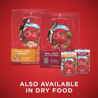 Image showing 5 th Purina ONE Tender Cuts in Gravy Chicken & Beef Variety Pack Wet Dog Food, 13 oz., 12 ct.