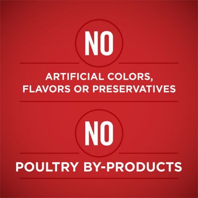 Image showing 7 th Purina ONE Tender Cuts in Gravy Chicken & Beef Variety Pack Wet Dog Food, 13 oz., 12 ct.