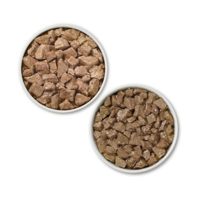 Image showing  True Instinct Tender Cuts in Gravy Real Chicken and Duck & Beef and Salmon Variety Pack Wet Dog Food, 13 oz., 12 ct.