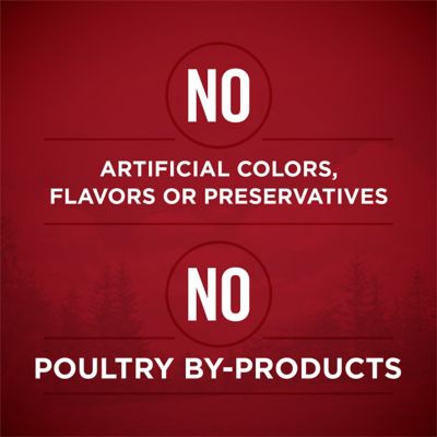 Image showing 6 th Purina ONE True Instinct Tender Cuts in Gravy Real Chicken and Duck & Beef and Salmon Variety Pack Wet Dog Food, 13 oz., 12 ct.