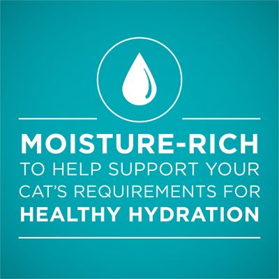 Image showing 5 th Purina ONE Urinary Tract Health, Natural Pate Wet Cat Food, Urinary Tract Health Beef & Liver Recipe, 3 oz. Pull-Top Can