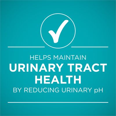 Image showing 7 th Purina ONE Urinary Tract Health, Natural Pate Wet Cat Food, Urinary Tract Health Beef & Liver Recipe, 3 oz. Pull-Top Can