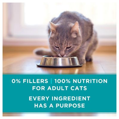 Image showing 9 th Purina ONE Urinary Tract Health, Natural Pate Wet Cat Food, Urinary Tract Health Beef & Liver Recipe, 3 oz. Pull-Top Can
