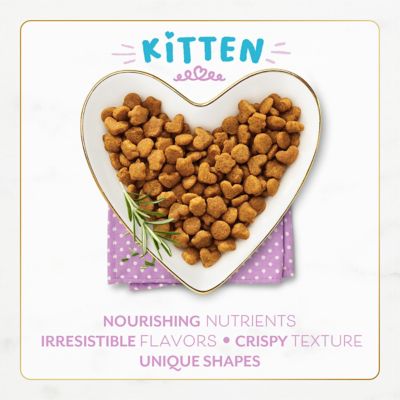 Image showing  Kitten Savory Chicken and Turkey Recipe Dry Cat Food