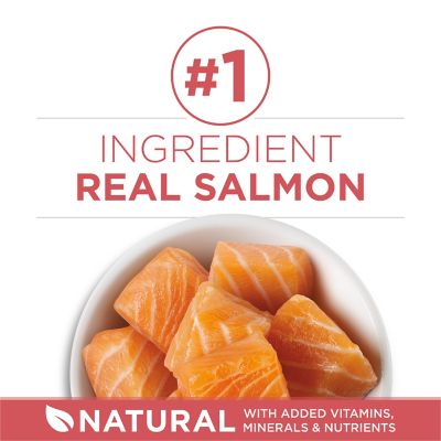 Image showing  +Plus Indoor Advantage With Real Salmon No. 1 Ingredient, High Protein Cat Food,7 lb. Bag