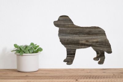 Image showing  Rustic Farmhouse 18 in. Bernese Mountain Dog Cutout Reclaimed Wood Silhouette
