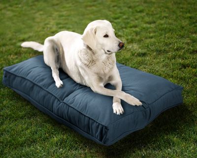 Image showing  Sunbrella Outdoor and Indoor Pet Bed