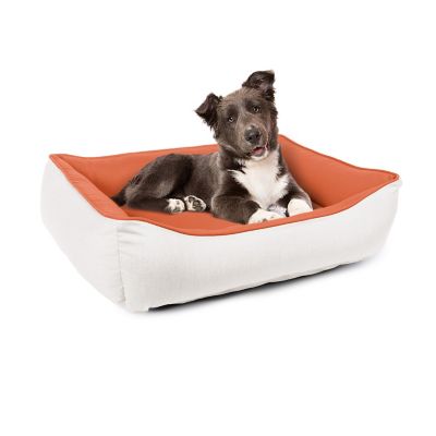 Image showing  Subrella Cuddle Pet Bed