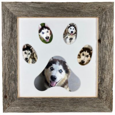 Barnwood USA Rustic Farmhouse Reclaimed Wood Paw Print Collage Picture Frame with White Mat, Holds 5 Pictures