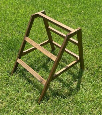 Zylina Play N Roost Roosting Ladder, Medium Size