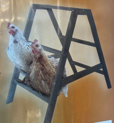 Image showing  Play N Roost Roosting Ladder, Medium Size