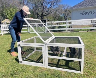 Image showing  Extension Grow Out Pen, 5 Chicken Capacity