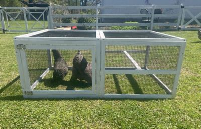 Image showing  Extension Grow Out Pen, 5 Chicken Capacity