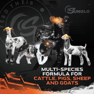 Image showing  Game On Show Feed Supplement, 8 lb.