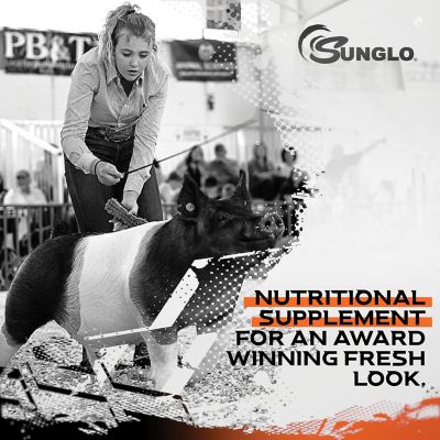 Image showing  Game On Show Feed Supplement, 8 lb.