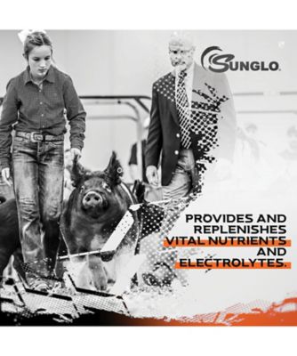 Image showing  4 Sure Show Feed Supplement, 3 lb.