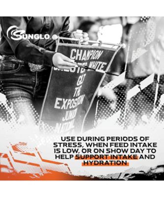 Image showing  4 Sure Show Feed Supplement, 3 lb.