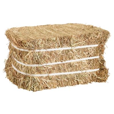 DuMOR Timothy Alfalfa Wrapped Hay Bale
