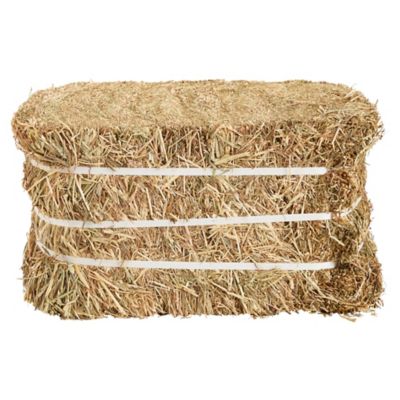 Image showing  Timothy Alfalfa Wrapped Hay Bale
