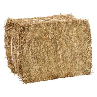Image showing  Timothy Alfalfa Wrapped Hay Bale