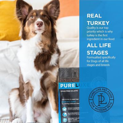 Image showing  Grain Free Holistic, High Protein Dog Formula Made with Turkey