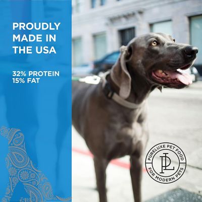 Image showing  Grain Free Holistic, High Protein Dog Formula Made with Turkey