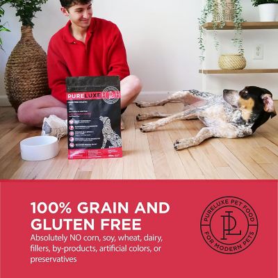 Image showing  Grain Free Holistic Hypoallergenic Dog Formula Made with Lamb & Chickpeas