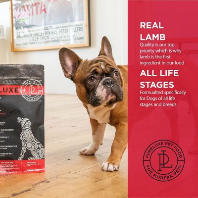 Image showing  Grain Free Holistic Hypoallergenic Dog Formula Made with Lamb & Chickpeas