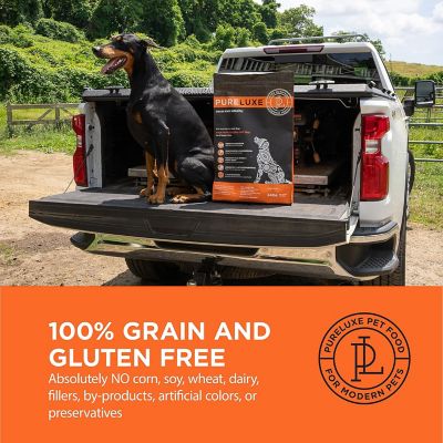 Image showing  Grain Free Holistic Dog Formula Made with Salmon & Sweet Potatoes