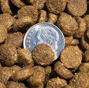 Image showing  Holistic Health Science 91 All Life Stages Chicken, Salmon and Eggs Recipe Dry Dog Food