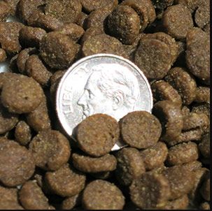 Image showing  Kitten Grain-Free Holistic Chicken, Chickpeas and Salmon Formula Dry Cat Food