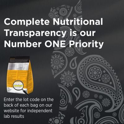 Image showing  Grain Free Holistic Indoor Cat Formula Made with Salmon & Split Peas