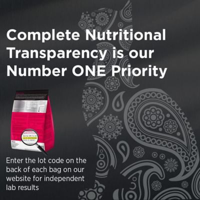 Image showing  Grain Free Holistic Healthy Weight Cat Formula Made with Turkey, Chicken Meal & Salmon