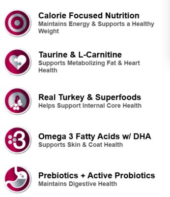 Image showing  Adult Grain-Free Holistic Healthy Weight Turkey, Chicken Meal and Salmon Formula Dry Cat Food