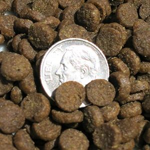 Image showing  Adult Grain-Free Holistic Healthy Weight Turkey, Chicken Meal and Salmon Formula Dry Cat Food