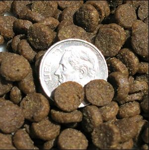 Image showing  Persian Cat All Life Stages Grain-Free Holistic Chicken and Salmon Meal Formula Dry Cat Food