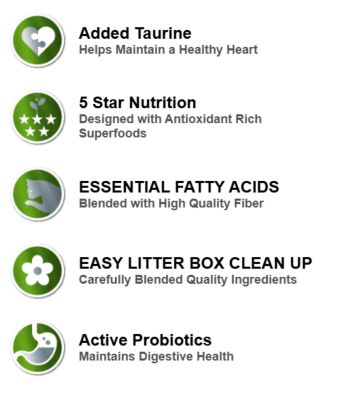 Image showing  Persian Cat All Life Stages Grain-Free Holistic Chicken and Salmon Meal Formula Dry Cat Food
