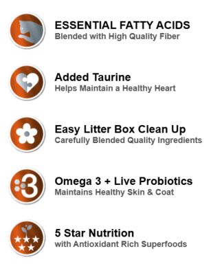 Image showing  Longhair Cat All Life Stages Grain-Free Holistic Chicken and Salmon Recipe Dry Cat Food