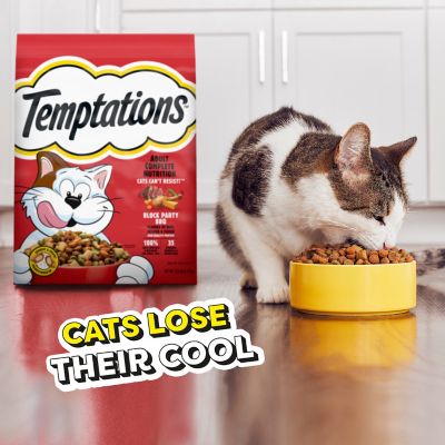 Image showing  Adult Indoor/Outdoor Block Party BBQ Recipe Dry Cat Food