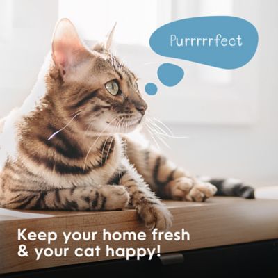 Image showing  Silver Plus Pail