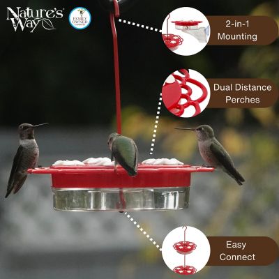 Image showing  2 in 1 Plastic Saucer and Window Hummingbird Feeder 13 oz., Red