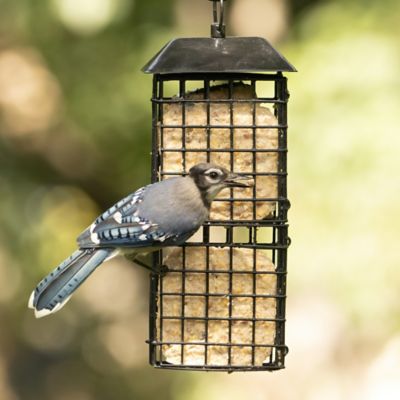 Image showing  Metal Suet Cage Bird Feeder with Roof 4 Cakes, Black