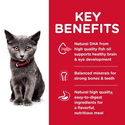 Image showing 2 th Hill's Science Diet Kitten Indoor Chicken Recipe Dry Cat Food