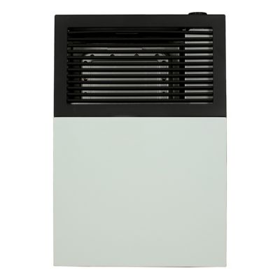 Ashley Direct Vent Wall Heater 8,000 BTU Propane